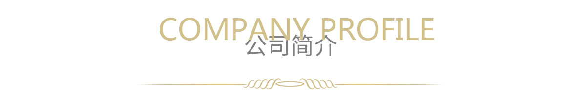 公司简介_02.jpg